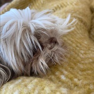 Meet your Posher, Almudena s